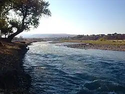 Assa river in Nesterovskaya