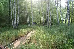 Spring in the Kudeyarova mountains, Novoburassky District