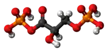 1,3-Bisphosphoglyceric acid molecule