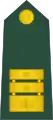 Podpolkovnik(Slovenian Ground Force)