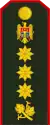 General de corp de armată(Moldovan Ground Forces)