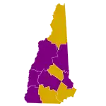 Results of New Hampshire's primary