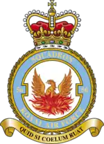 Squadron badge