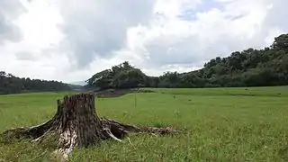 A landscape at Thattekad Bird Sanctuary