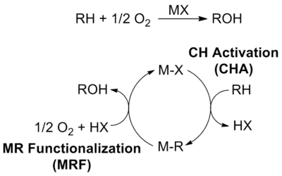 AlkaneOxCy