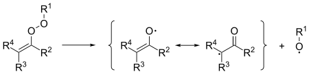 Decomposition of alkenyl peroxides by homolytic cleavage of the O-O bond