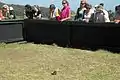 The audience watches the show while a bearded dragon roams the enclosure