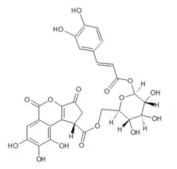 Chemical structure of balanophotannin D