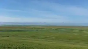 Bayan Baluk Reserve, with cutoff lakes of the Kaidu River