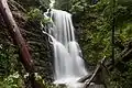 Berry Creek Falls