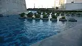 The Bibliotheca Alexandrina Pool, adjacent to the library outer wall.