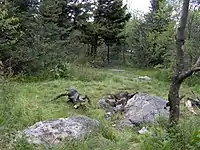 Backcountry campsite at Deep Gap