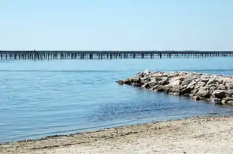 Oyster production at Bouzigues