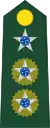 Lieutenant Colonel