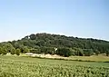 View to Stinchcombe Hill