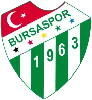 Bursaspor İnfo Yatırım logo