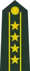 Colonel commandant