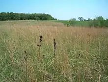 Conard Environmental Research Area