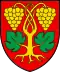 Coat of arms of Raron