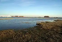 Calshot Marshes