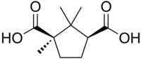 Skeletal formula of camphoric acid