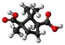 Ball-and-stick model of the camphoric acid molecule