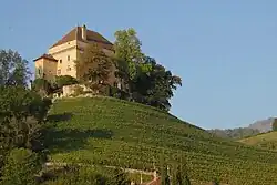 Castel Châtelard near Clarens