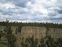 Multiple flood basalt flows and trees in Chasm Provincial Park