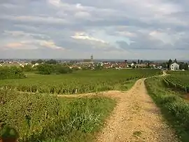 A general view of Marsannay-la-Côte