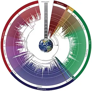 Hedges and Kumar's circular timetree of life, of 1,610 families