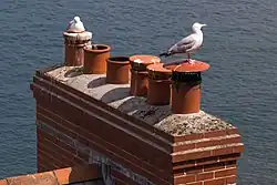 Rows of chimney pots in an English town in 2013