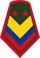 Sargento mayor(Colombian National Army)