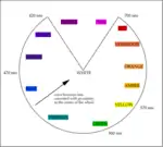 A color circle based on additive combinations of the light spectrum, after Schiffman (1990)