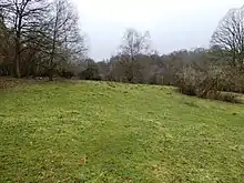 Cowden Pound Pastures