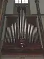 The organ