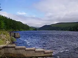 A lake surrounded by trees