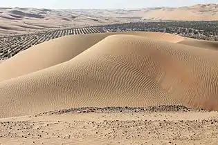 Sand dunes overlooking Liwa Oasis