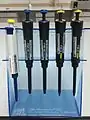 Different volumes of micropipettes.