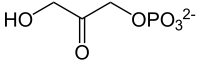 Dihydroxyacetone phosphate