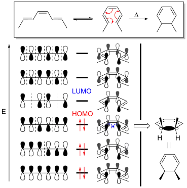 Disrotatory ring closing reaction