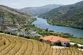 Douro Valley