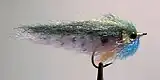 Bluegill streamer EP style