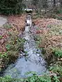 An Eagle Creek tributary at Ednor Cr just north of Greystone Dr, Montecito