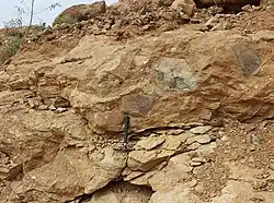 Edaga Arbi glacials at the foot of the escarpment.