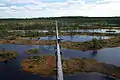 Männikjärve bog in Endla