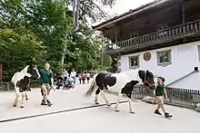 Endangered breeds of farm animals are kept at the typical Tyrolean farm.