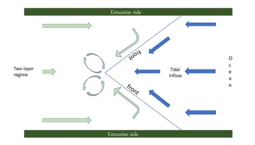 The schematic illustration of tidal intrusion front with the flow pattern at the surface