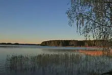 View of the fjärd with the base of a forest and the first plain of the humid zones