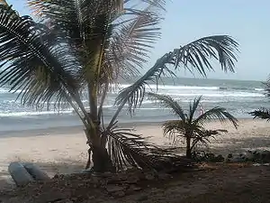 Beach at Fajara