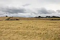 Corn and wheat fields in the foreground, with various farm buildings on the upper horizon